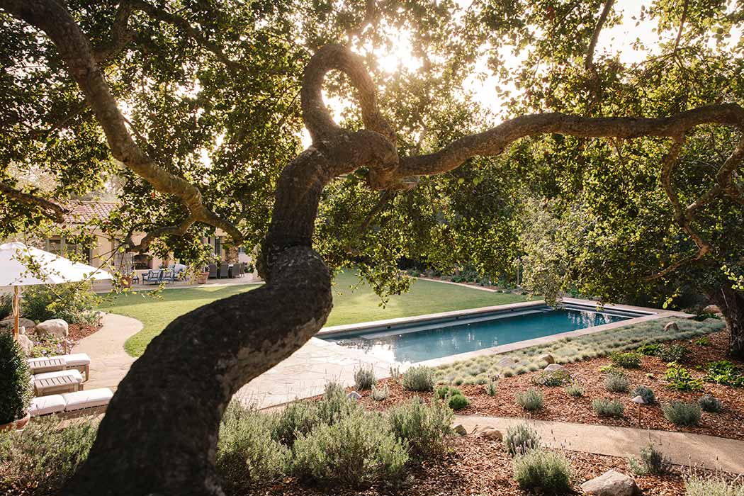 retouched-high-res_X2A6703_2